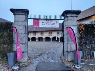 DiVINes! Salon suisse des vigneronnes 2023, Rolle