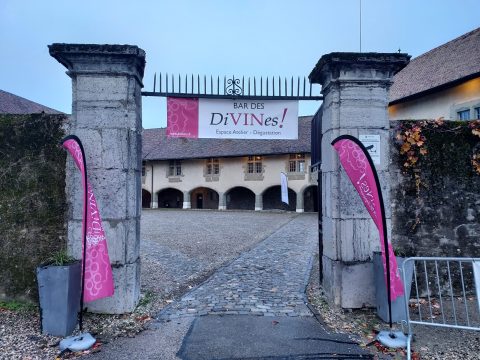 DiVINes! Salon suisse des vigneronnes 2023, Rolle