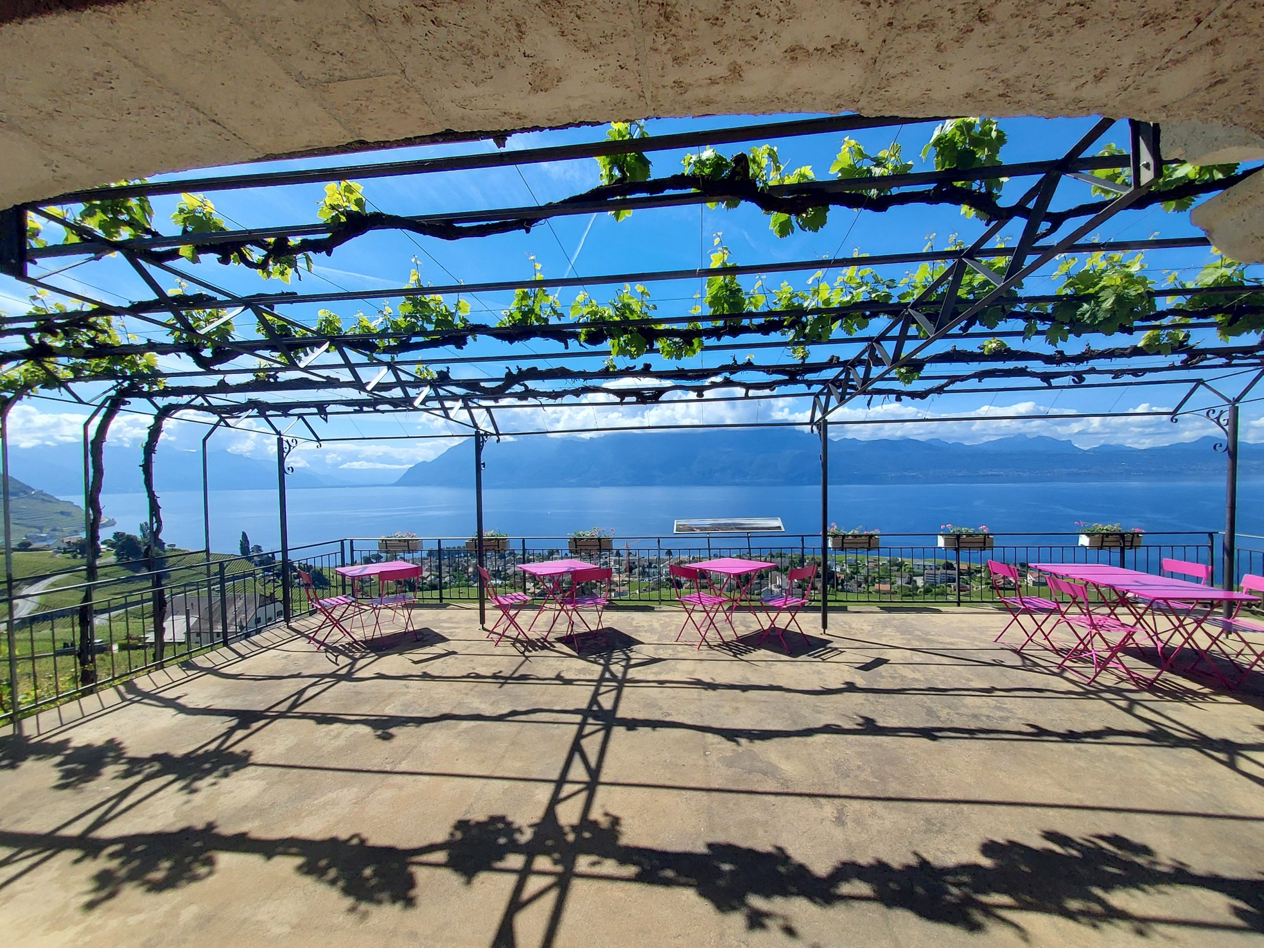 Domaine Croix Duplex, Grandvaux